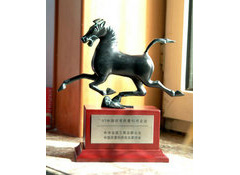 中国民营优秀企业